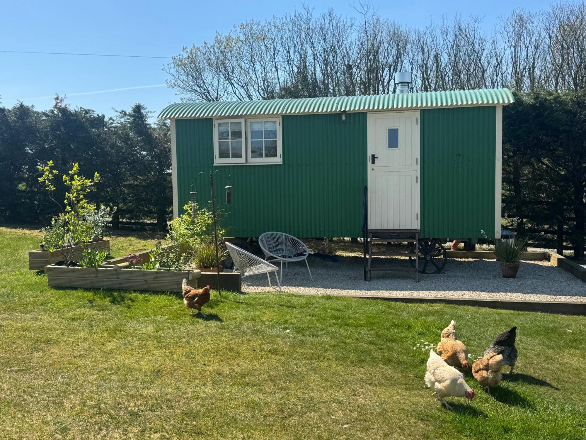 Toms Hut And Robins Rest Shepherd Huts Near Уэйдбридж Экстерьер фото
